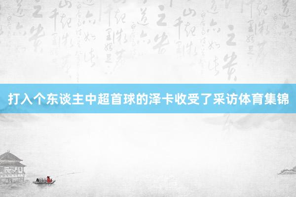 打入个东谈主中超首球的泽卡收受了采访体育集锦