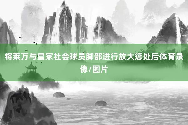 将莱万与皇家社会球员脚部进行放大惩处后体育录像/图片