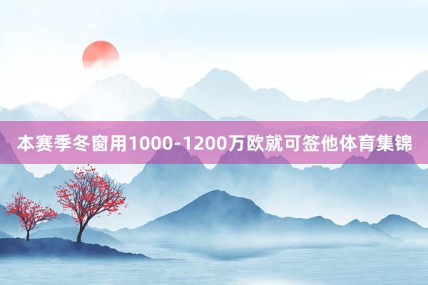 本赛季冬窗用1000-1200万欧就可签他体育集锦