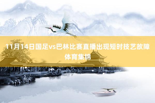 11月14日国足vs巴林比赛直播出现短时技艺故障体育集锦