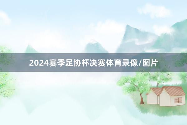 2024赛季足协杯决赛体育录像/图片