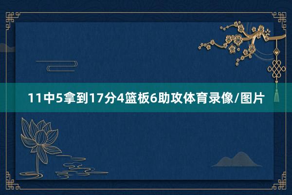 11中5拿到17分4篮板6助攻体育录像/图片