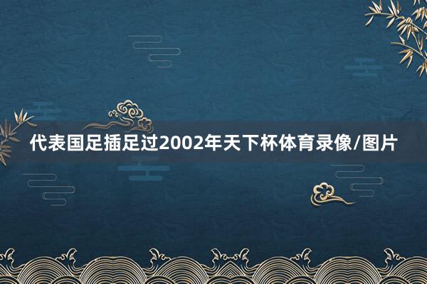 代表国足插足过2002年天下杯体育录像/图片