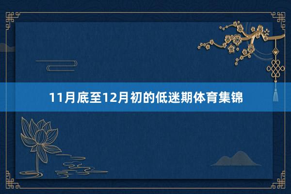 11月底至12月初的低迷期体育集锦