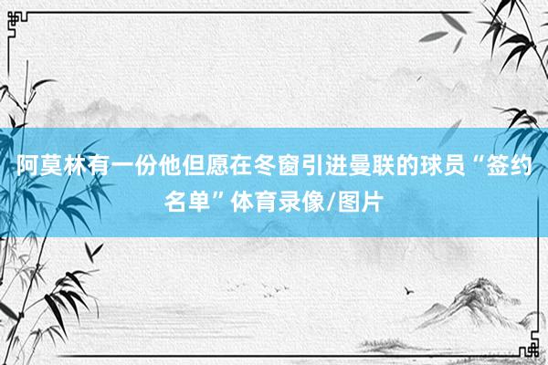 阿莫林有一份他但愿在冬窗引进曼联的球员“签约名单”体育录像/图片